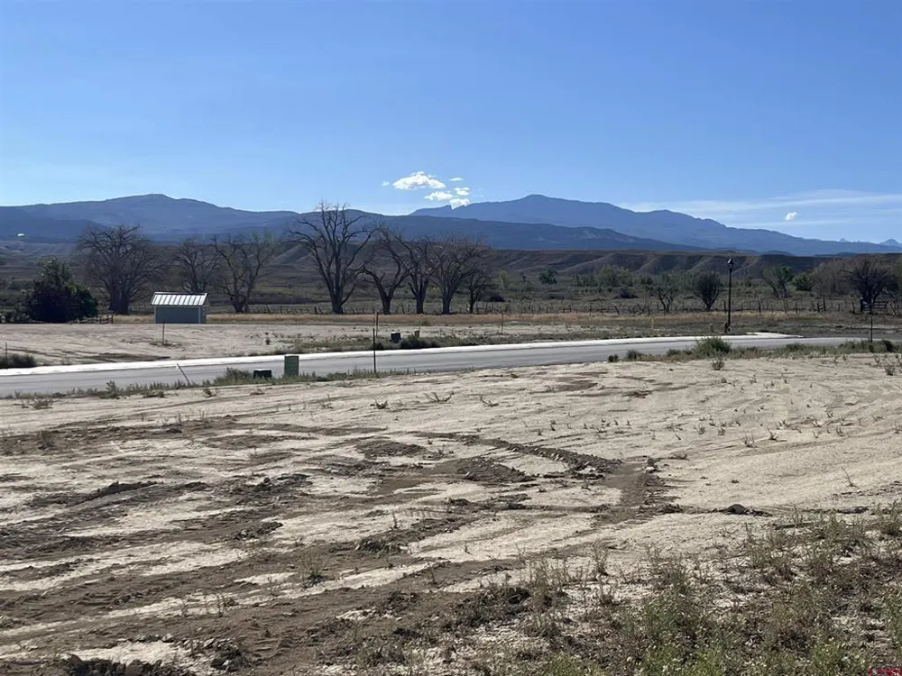 10 Chestnut Dr Montrose, CO 81401