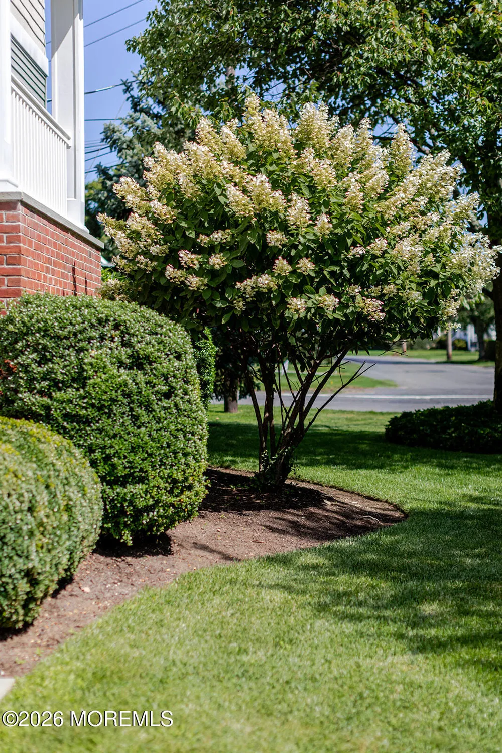 2 Shrewsbury Drive #1A Rumson, NJ 07760