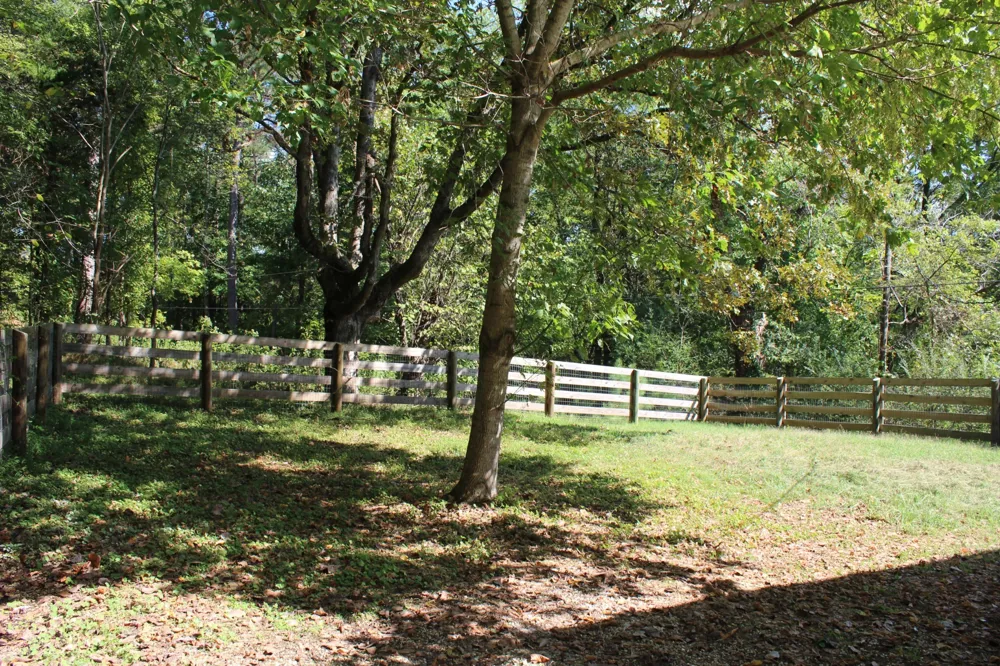 78 College St Erin, TN 37061