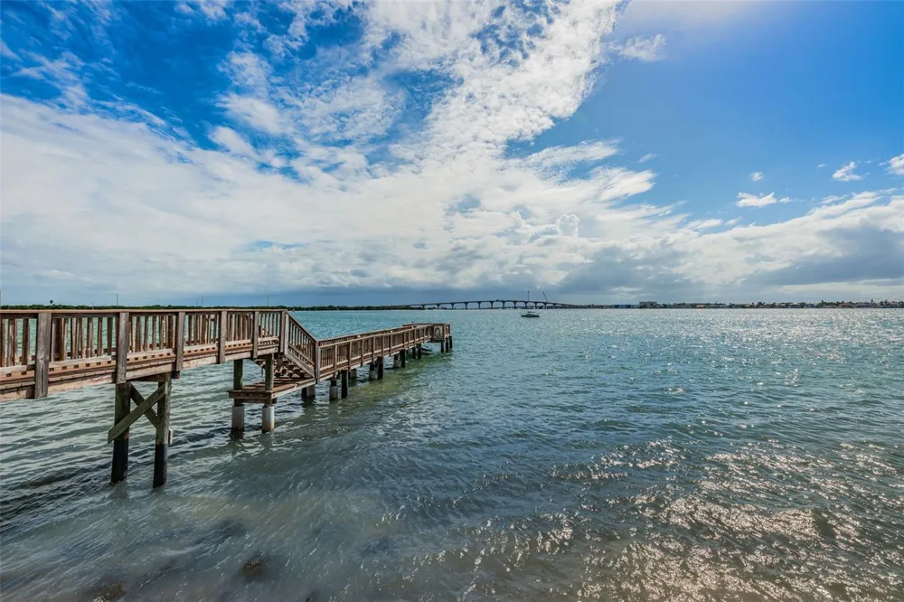 6287 BAHIA DEL MAR CIRCLE #113 St Petersburg, FL 33715