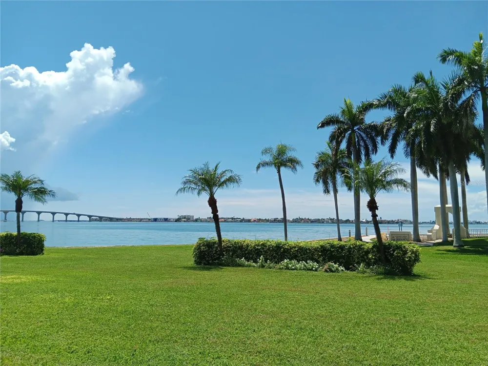 6287 BAHIA DEL MAR CIRCLE #113 St Petersburg, FL 33715