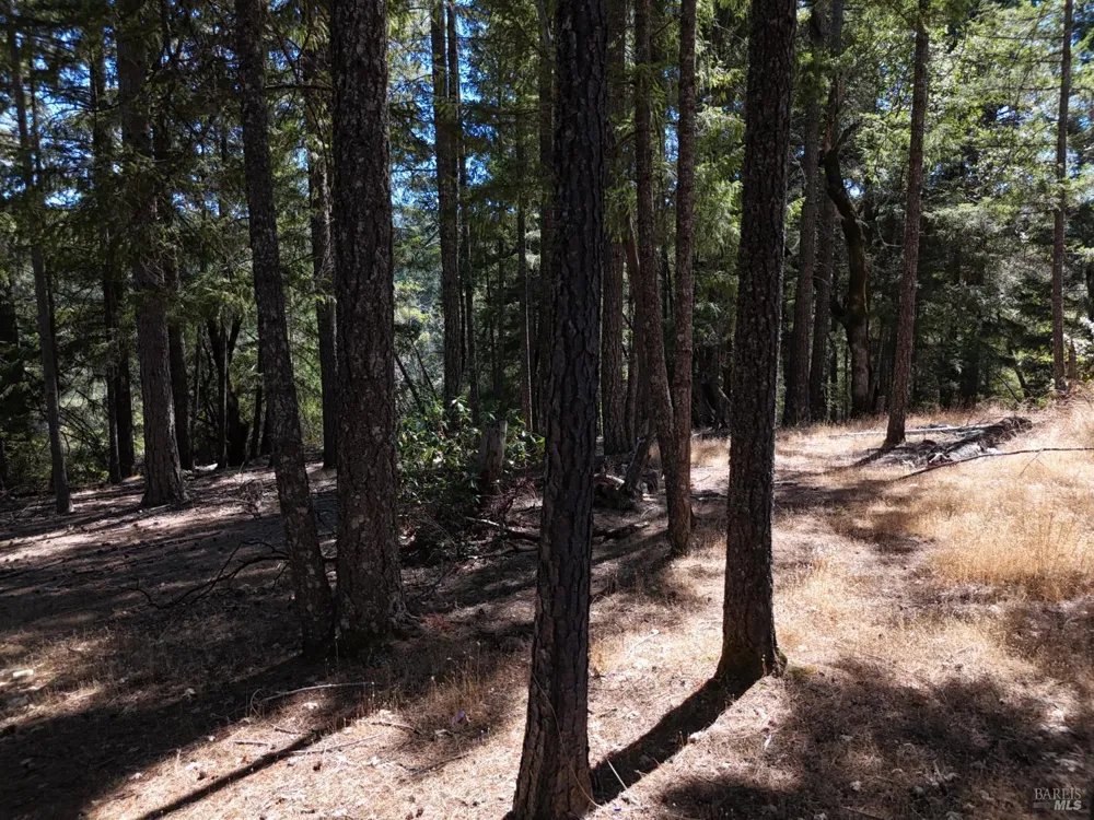 4501 Lakewood Drive Willits, CA 95490