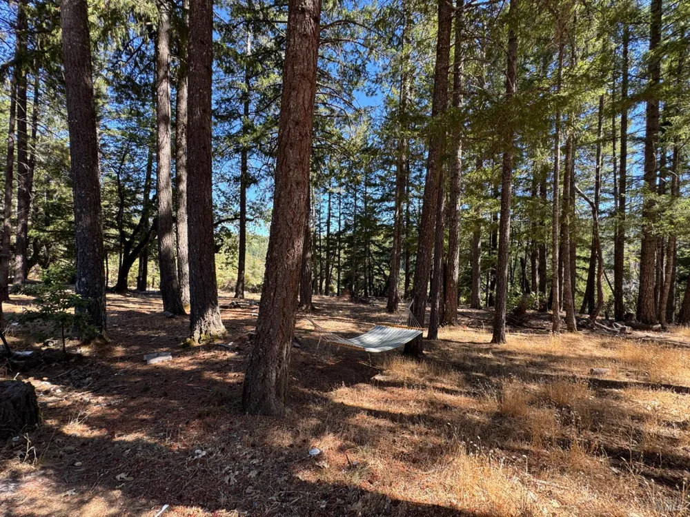 4501 Lakewood Drive Willits, CA 95490
