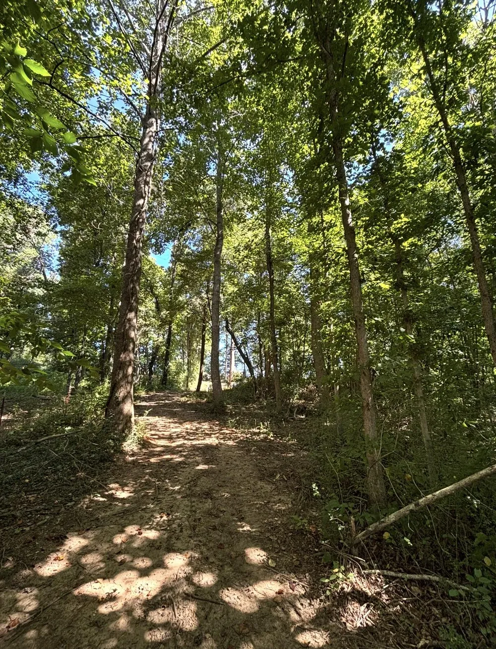 388 W Toomey Lane Madisonville, TN 37354