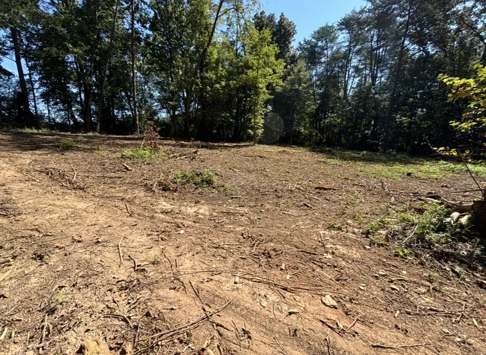 388 W Toomey Lane Madisonville, TN 37354