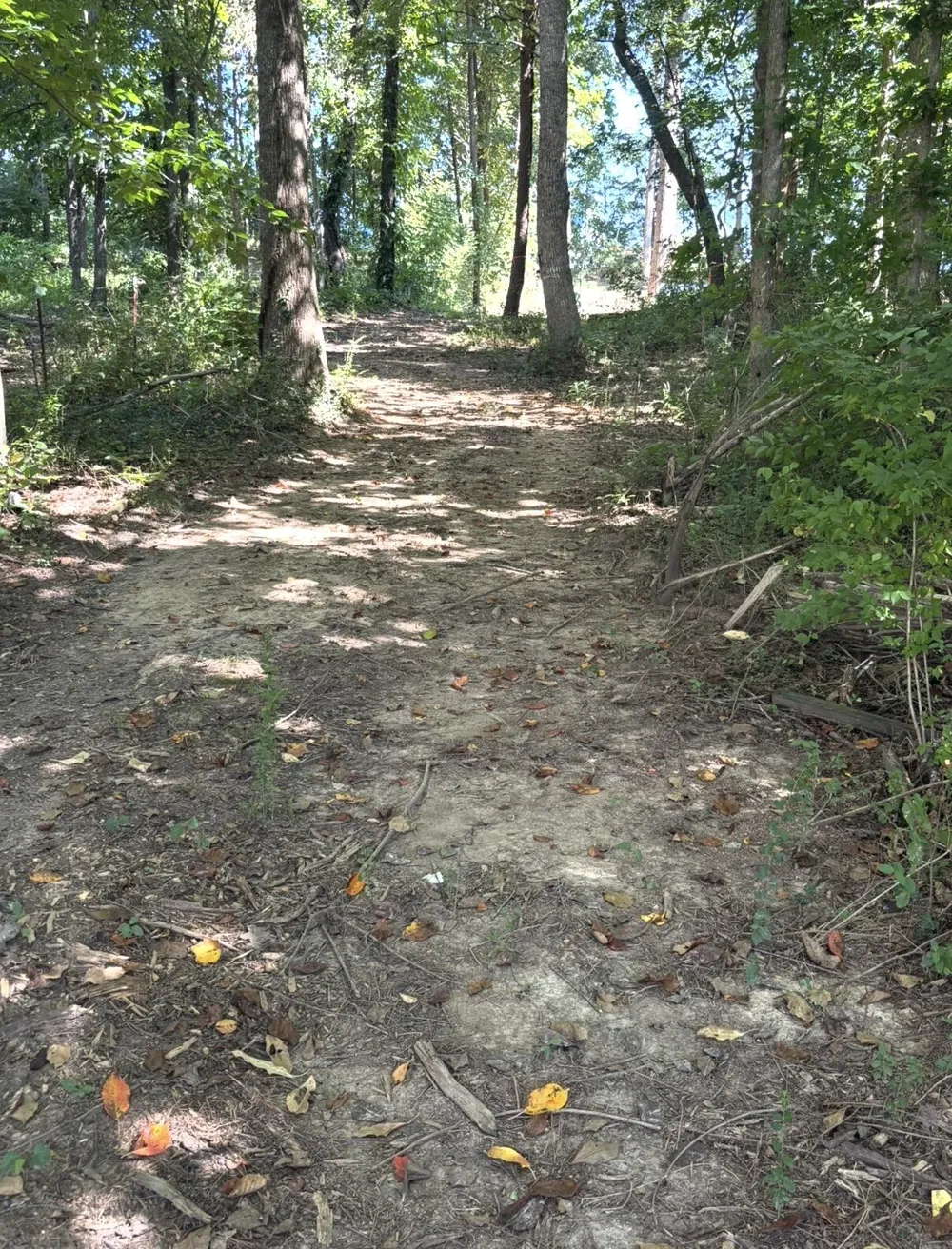 388 W Toomey Lane Madisonville, TN 37354