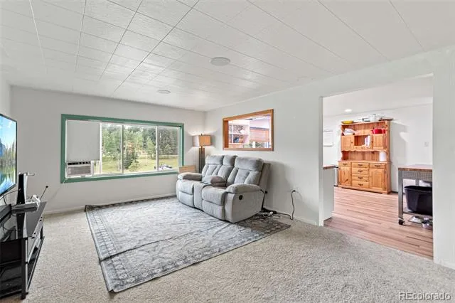 26274 Cornelius Street Conifer, CO 80433