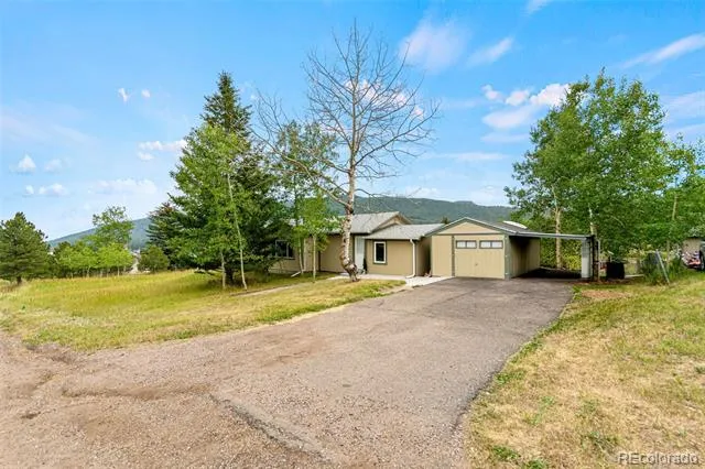 26274 Cornelius Street Conifer, CO 80433