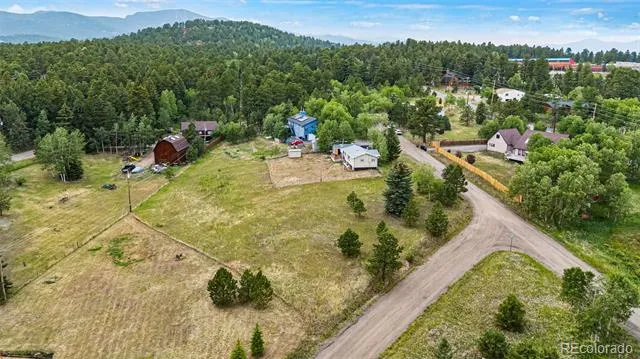26274 Cornelius Street Conifer, CO 80433