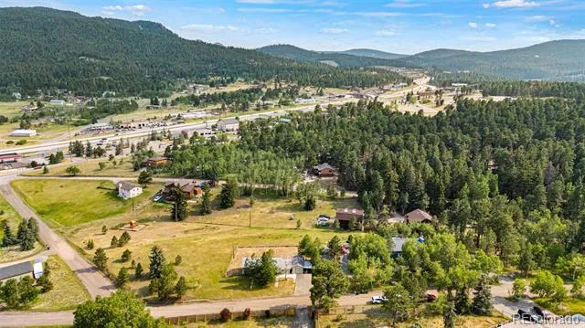 26274 Cornelius Street Conifer, CO 80433