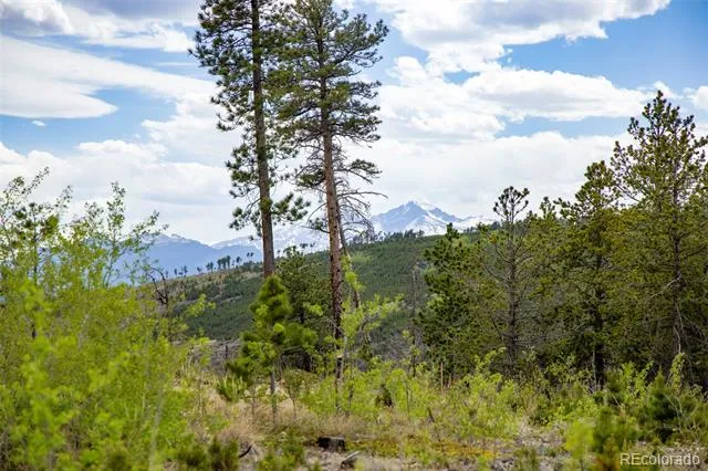 805 Meadows Drive Drake, CO 80515