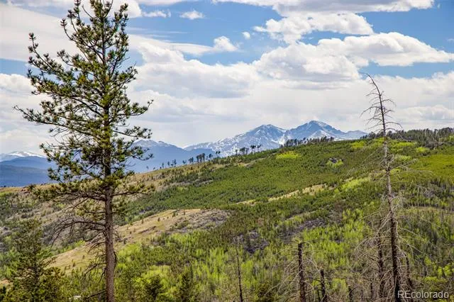 805 Meadows Drive Drake, CO 80515