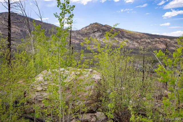 805 Meadows Drive Drake, CO 80515