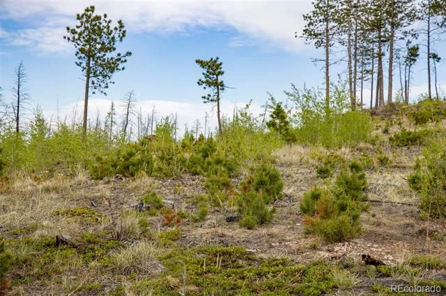 805 Meadows Drive Drake, CO 80515