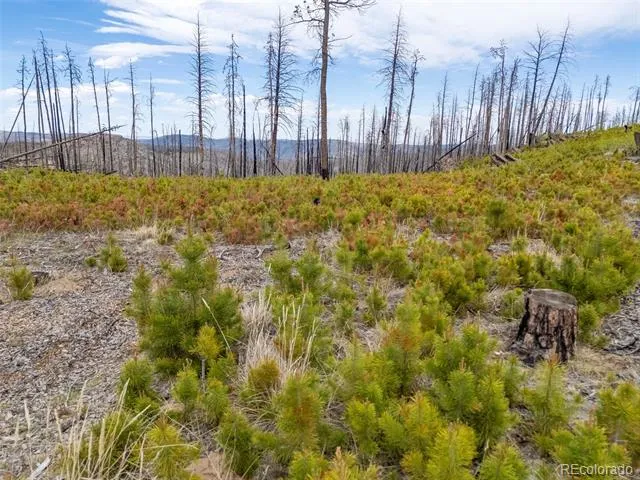 805 Meadows Drive Drake, CO 80515