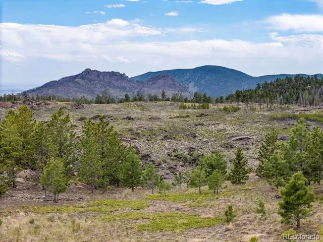 805 Meadows Drive Drake, CO 80515