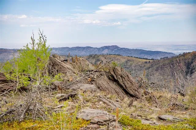 805 Meadows Drive Drake, CO 80515