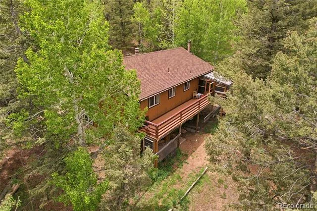 175 Mount Bailey Drive Bailey, CO 80421