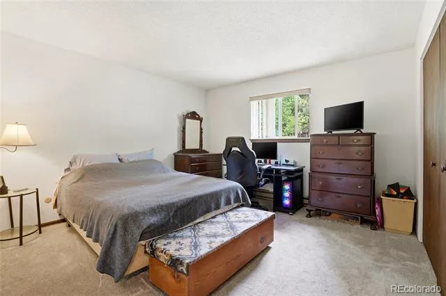 175 Mount Bailey Drive Bailey, CO 80421