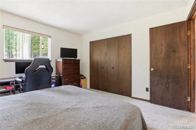 175 Mount Bailey Drive Bailey, CO 80421