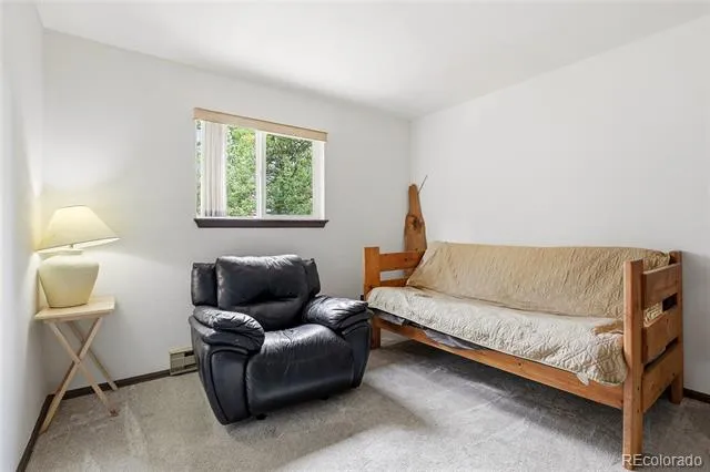 175 Mount Bailey Drive Bailey, CO 80421