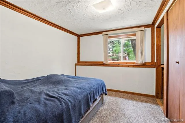 175 Mount Bailey Drive Bailey, CO 80421