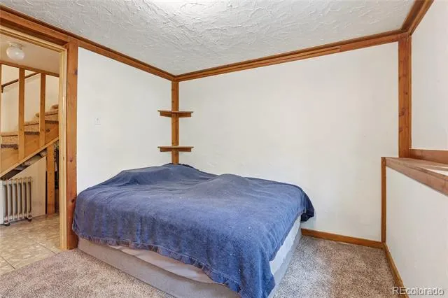 175 Mount Bailey Drive Bailey, CO 80421
