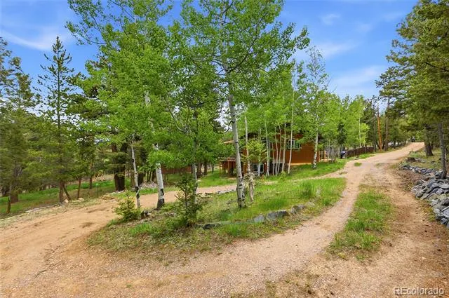 175 Mount Bailey Drive Bailey, CO 80421