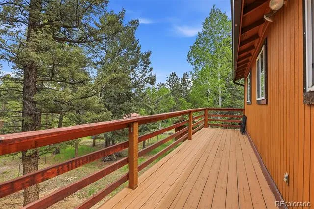 175 Mount Bailey Drive Bailey, CO 80421