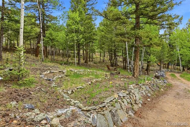 175 Mount Bailey Drive Bailey, CO 80421