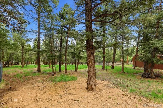 175 Mount Bailey Drive Bailey, CO 80421