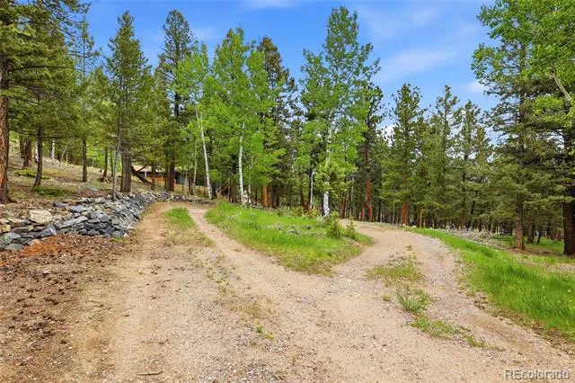 175 Mount Bailey Drive Bailey, CO 80421