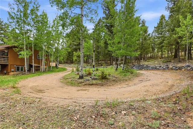 175 Mount Bailey Drive Bailey, CO 80421