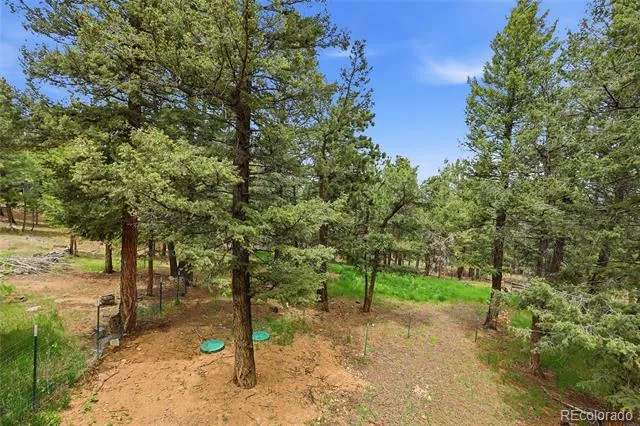 175 Mount Bailey Drive Bailey, CO 80421
