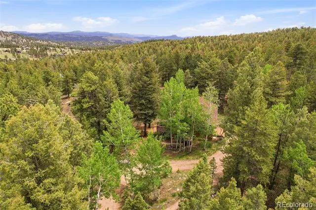 175 Mount Bailey Drive Bailey, CO 80421