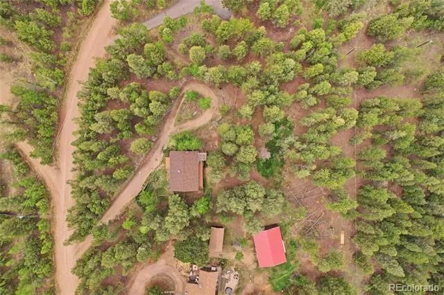 175 Mount Bailey Drive Bailey, CO 80421
