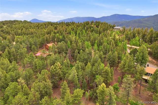 175 Mount Bailey Drive Bailey, CO 80421