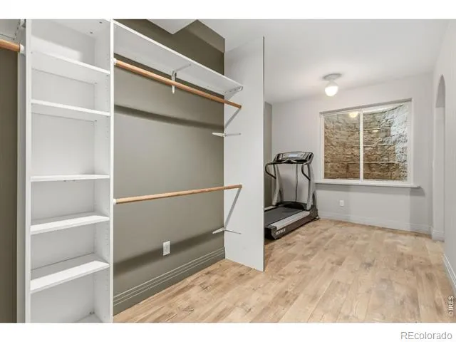 5702 Shepherd Street Timnath, CO 80547