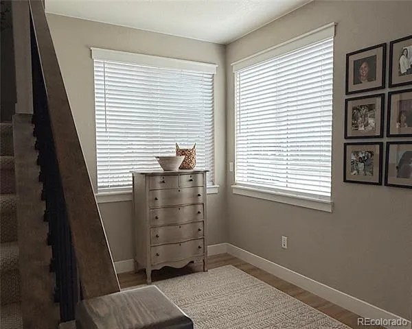 5261 Rendezvous Timnath, CO 80547