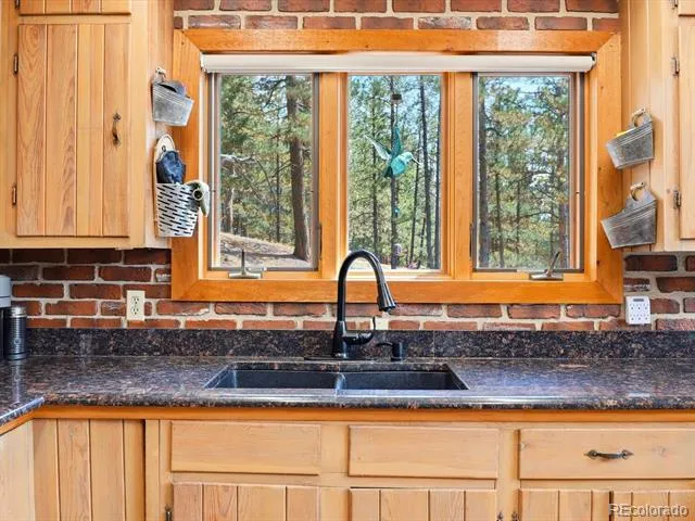 15026 Pine Lake Drive Woodland Park, CO 80863