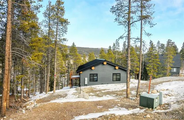148 Aspen Street Alma, CO 80420
