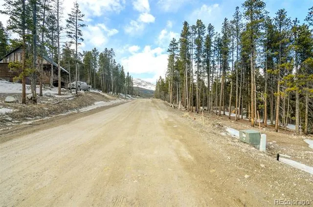 148 Aspen Street Alma, CO 80420