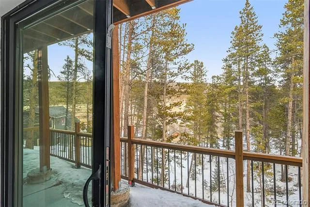 148 Aspen Street Alma, CO 80420