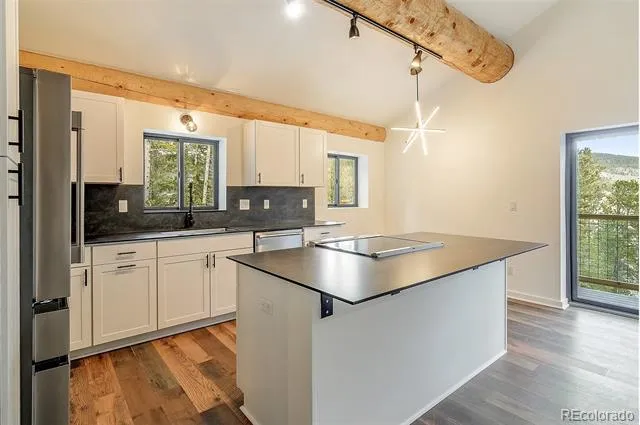 148 Aspen Street Alma, CO 80420