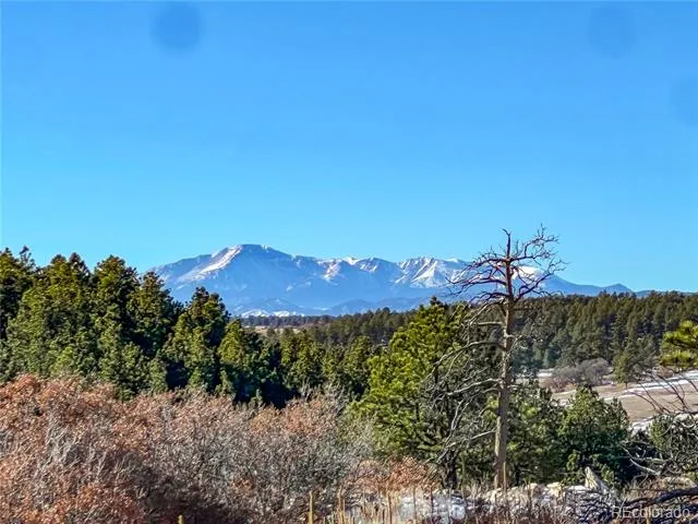 10555 Big Sky Trail Elbert, CO 80106