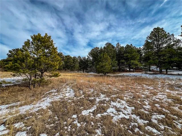 10555 Big Sky Trail Elbert, CO 80106