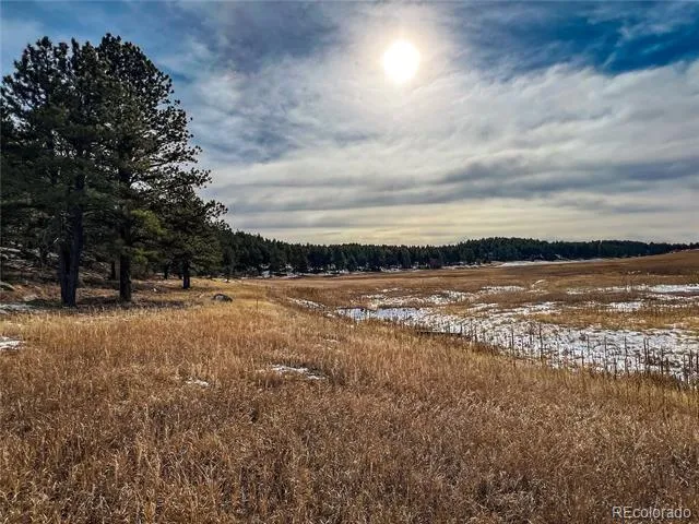 10555 Big Sky Trail Elbert, CO 80106