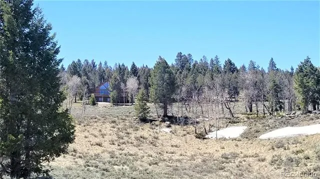 7891 County Road 25 Powderhorn, CO 81243