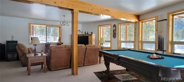 1321 Bristlecone Road Guffey, CO 80820