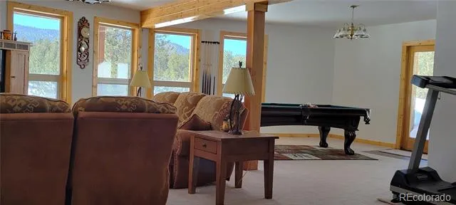 1321 Bristlecone Road Guffey, CO 80820